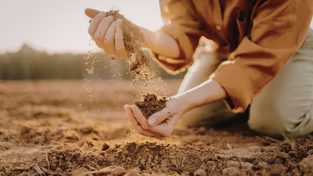 Pessoa semeando na terra simbolizando princípios espirituais em lei da semeadura no Reino de Deus